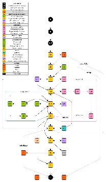 VSP case workflow schema